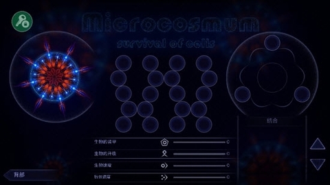 微生物模拟器安卓版