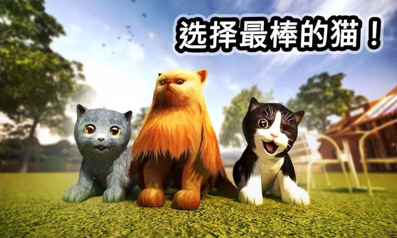 迷你小猫城市生存安卓版