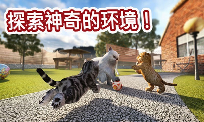 迷你小猫城市生存安卓版