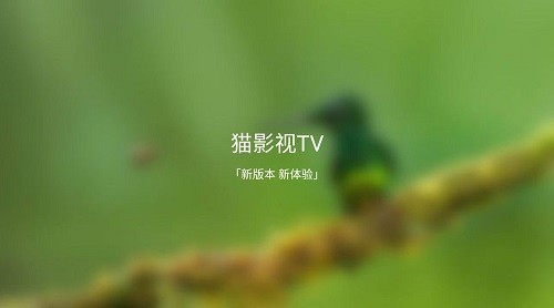 猫影视tv版